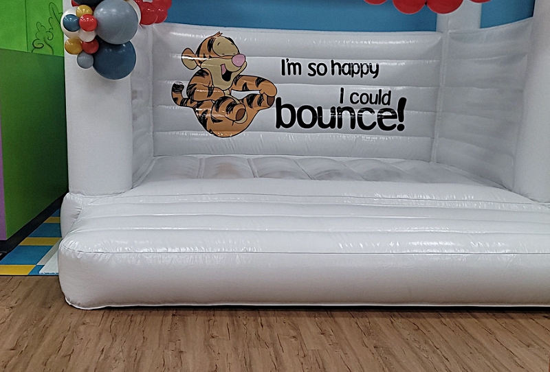 Large Vinyl Decal Image for Bounce House
